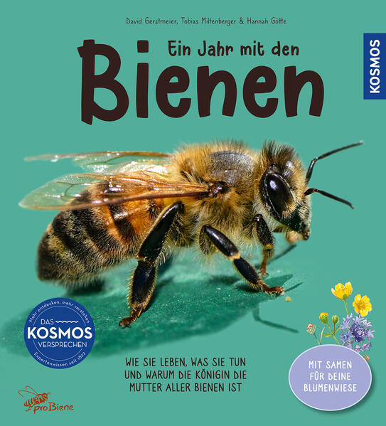 Buch "Ein Jahr mit den Bienen"