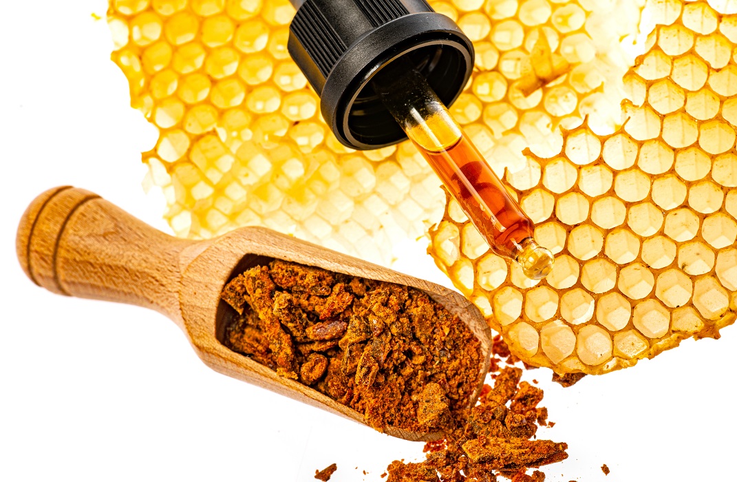 AdobeStock_321287578_propolis_klein