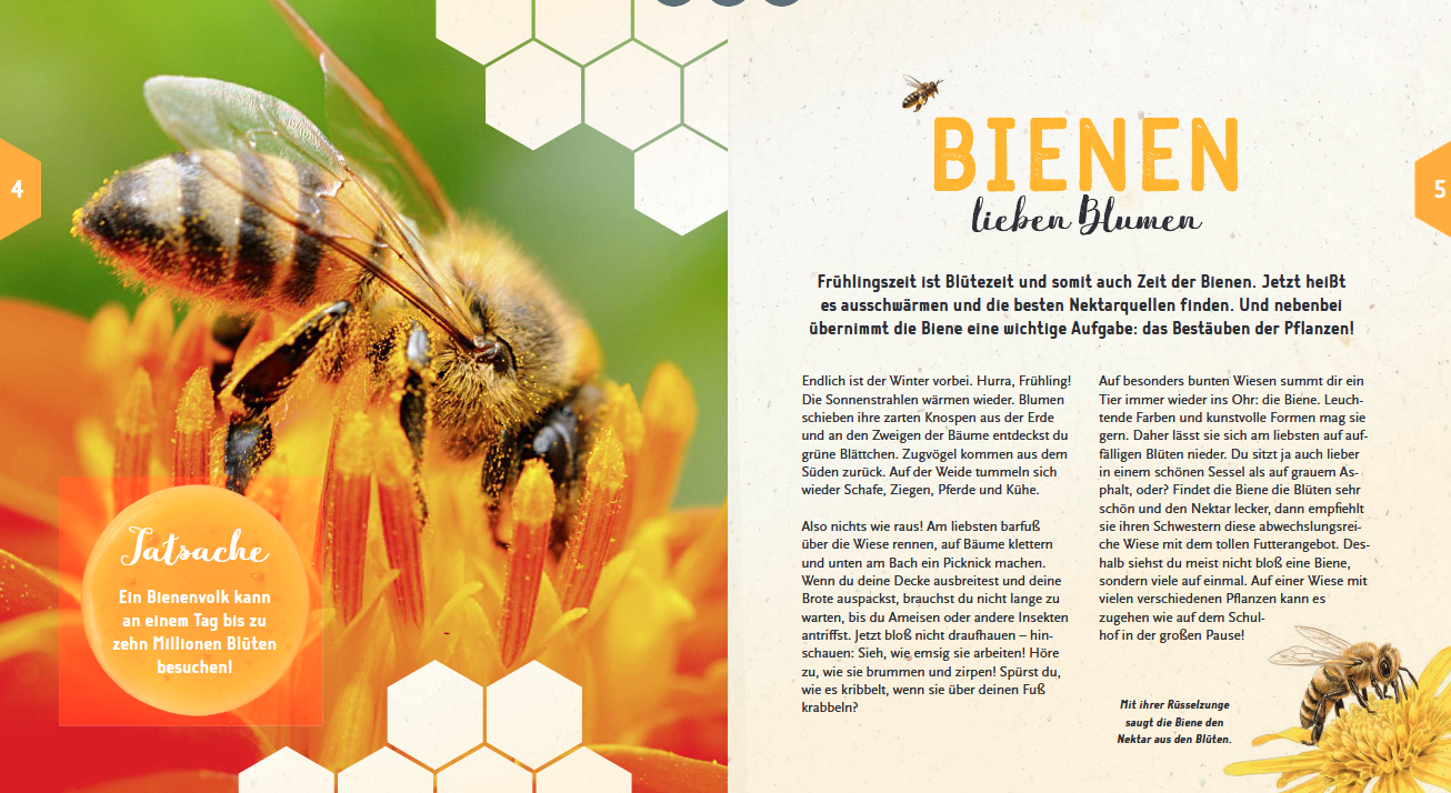 Buch "Ein Jahr mit den Bienen"