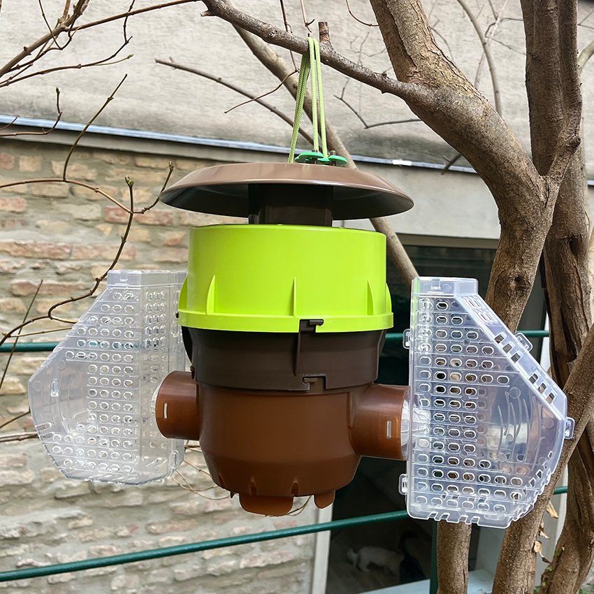 Velutina Trap made of plastic