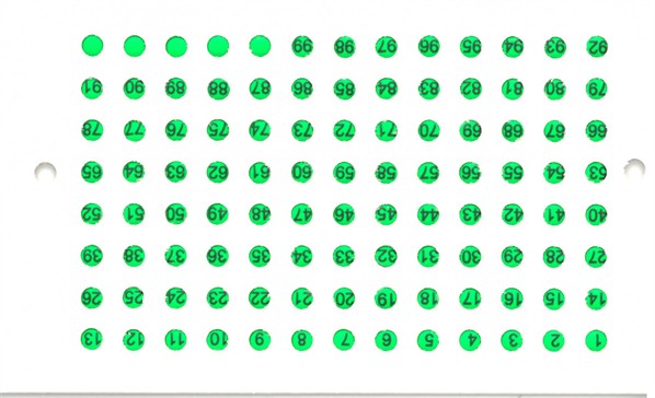 Queen marking discs with numbers green