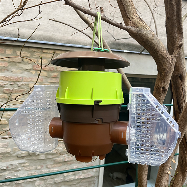 Velutina Trap made of plastic