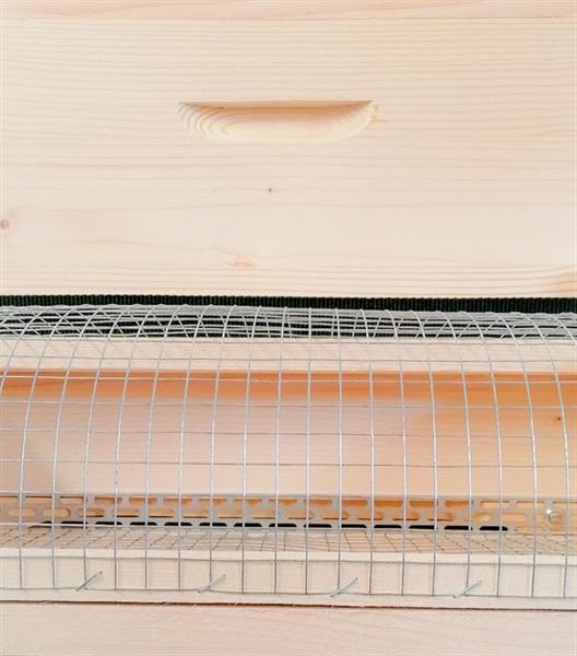 Dadant "Muzzle" for Dadant 12 against Asian Hornet