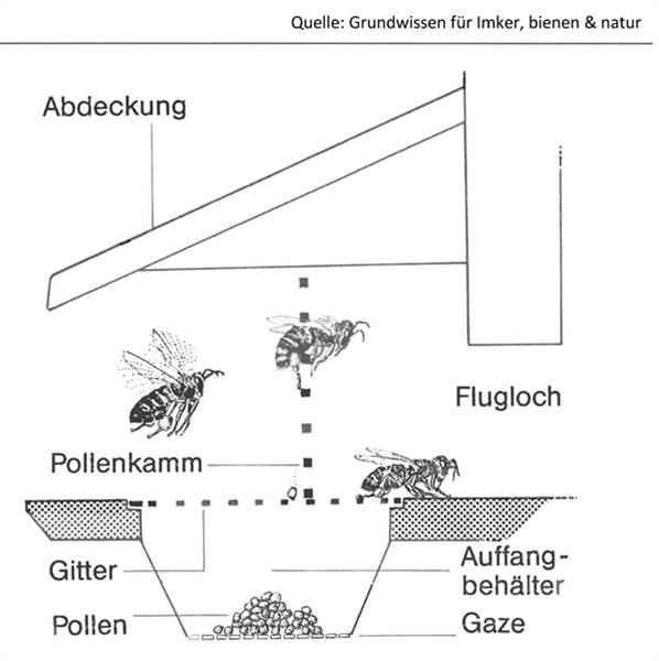 Pollen trap plastic