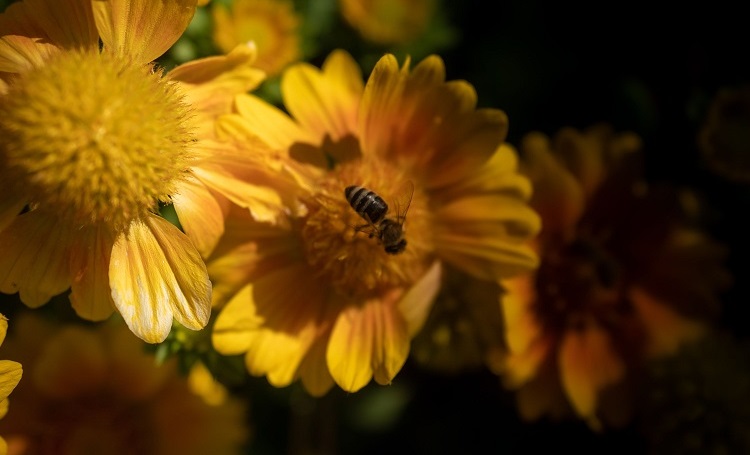 shutterstock_2542004263_klein2