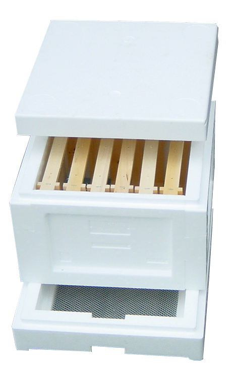 Mini Plus hive complete: Floor, super, 6 frames and cover
