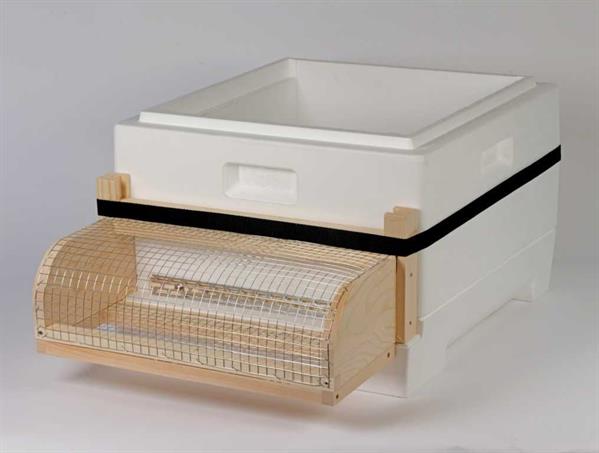 Segeberger "Muzzle" for Segeberger Flat Floor against Asian Hornet