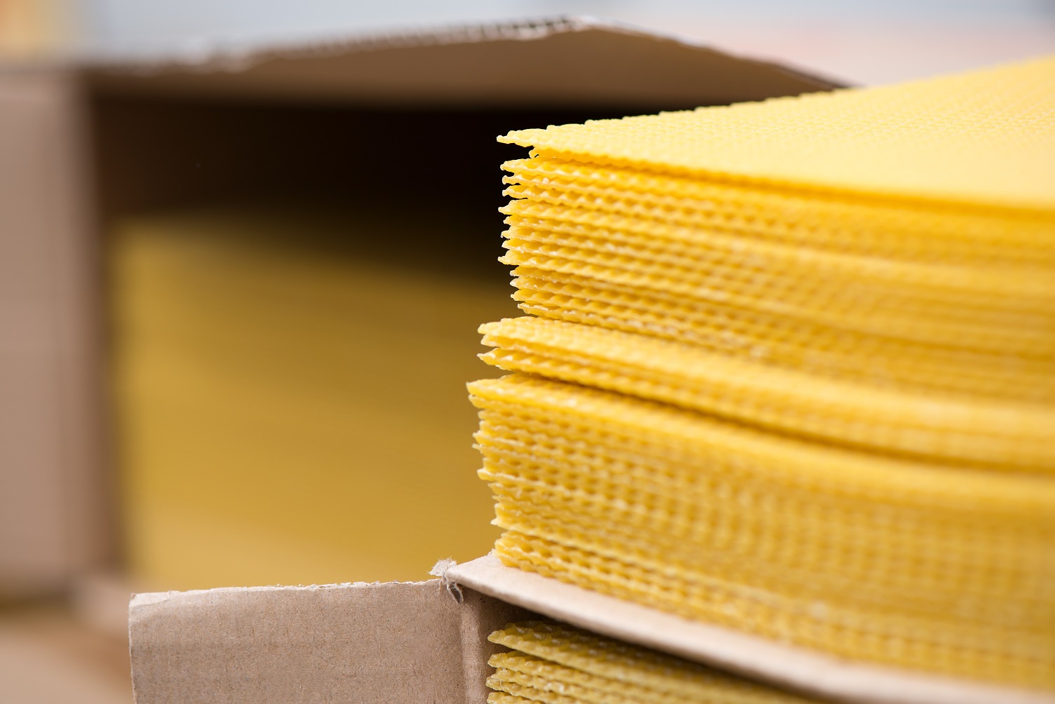 shutterstock_1126605539_klein