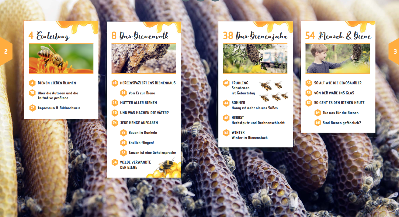 Buch "Ein Jahr mit den Bienen"