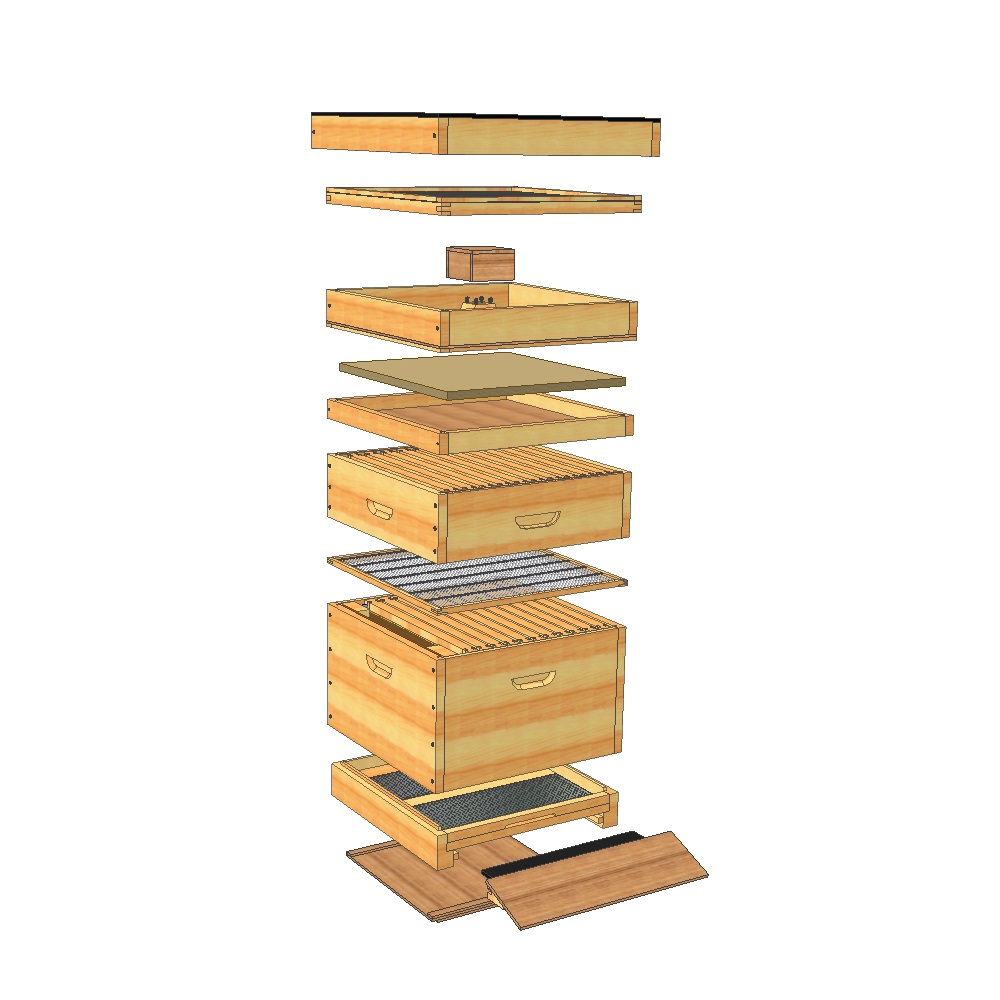 Dadant hive (complete)