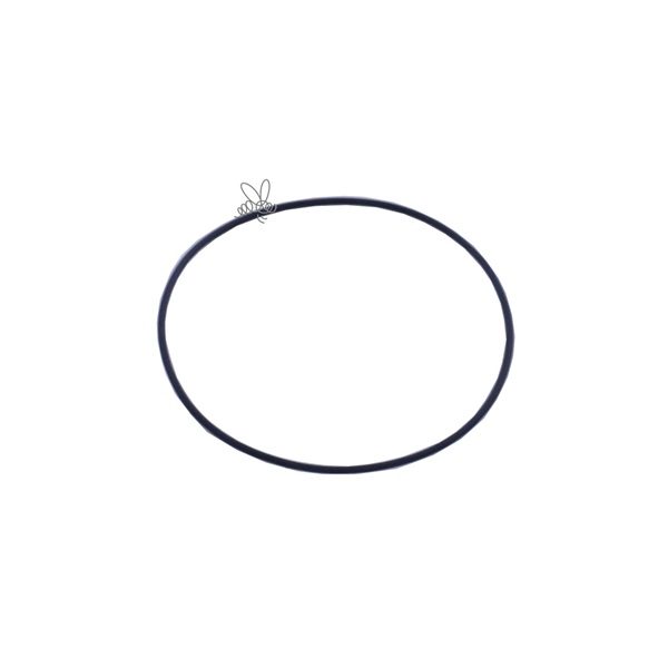 Spare part o-ring for pump house DaM 1000/Mini-pump