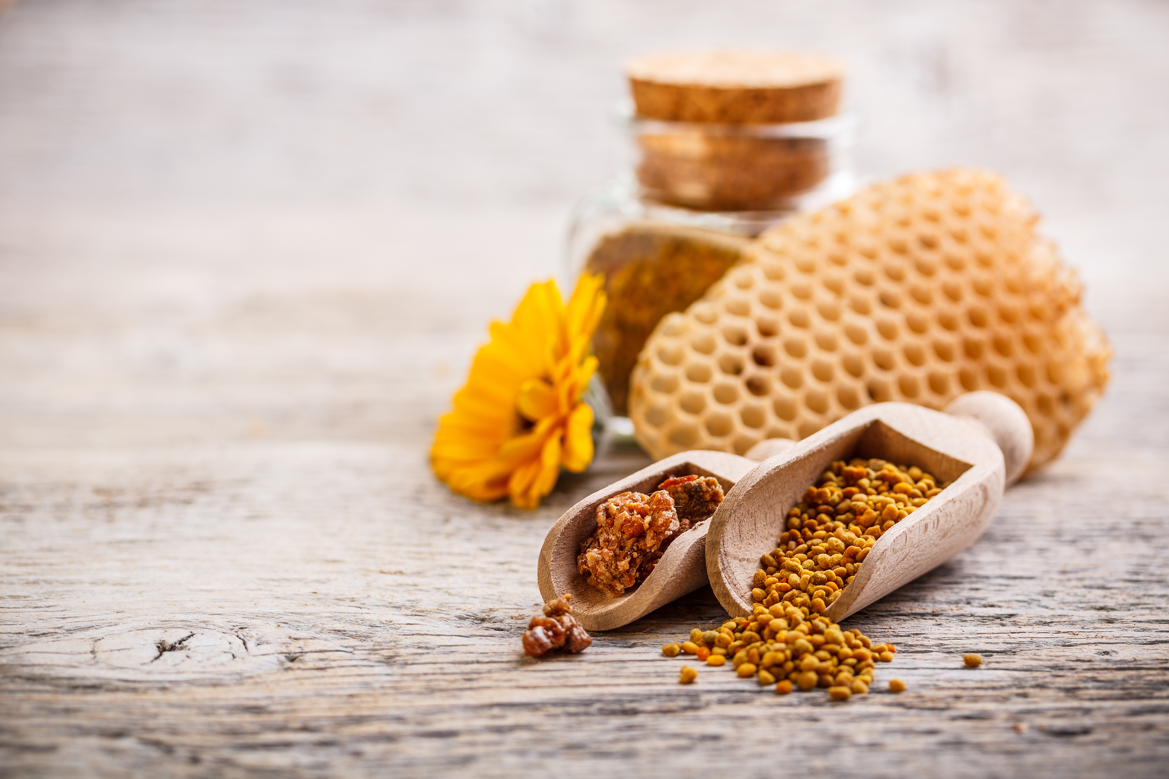 shutterstock_126577049