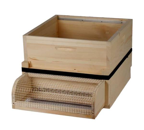 Dadant "Muzzle" for Dadant 12 against Asian Hornet